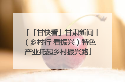 「甘快看」甘肃新闻丨（乡村行 看振兴）特色产业托起乡村振兴路