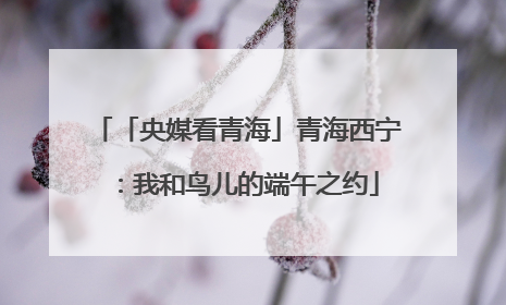 「央媒看青海」青海西宁：我和鸟儿的端午之约