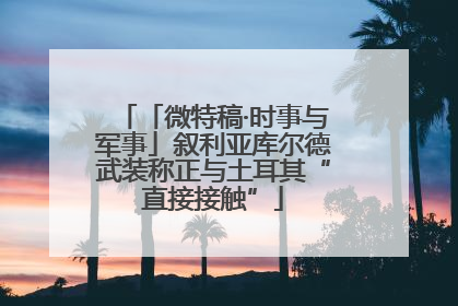 「微特稿·时事与军事」叙利亚库尔德武装称正与土耳其“直接接触”
