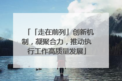 「走在前列」创新机制，凝聚合力，推动执行工作高质量发展