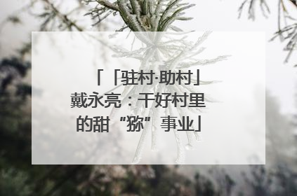 「驻村·助村」戴永亮：干好村里的甜“猕”事业