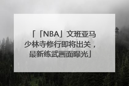 「NBA」文班亚马少林寺修行即将出关，最新练武画面曝光
