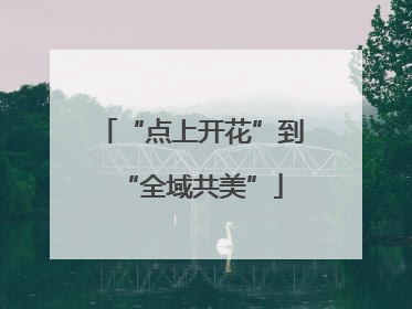 “点上开花”到“全域共美”