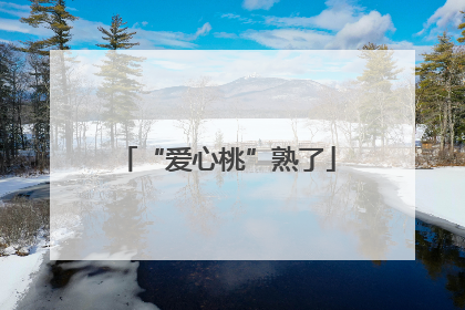 “爱心桃”熟了