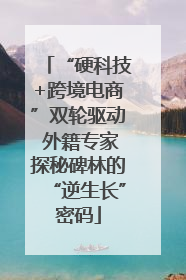 “硬科技+跨境电商”双轮驱动 外籍专家探秘碑林的“逆生长”密码