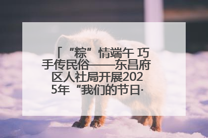 “粽”情端午 巧手传民俗——东昌府区人社局开展2025年“我们的节日·端午”包粽子活动