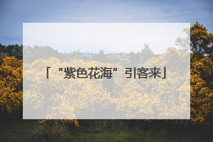“紫色花海”引客来