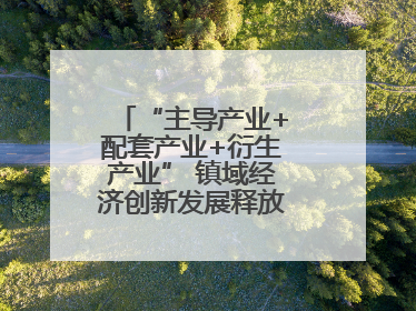 “主导产业+配套产业+衍生产业” 镇域经济创新发展释放强劲发展动能