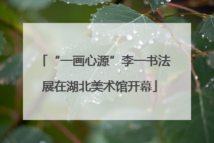 “一画心源”李一书法展在湖北美术馆开幕