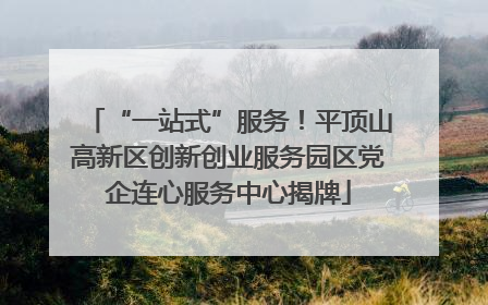“一站式”服务！平顶山高新区创新创业服务园区党企连心服务中心揭牌