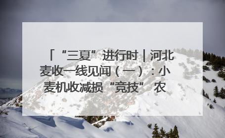 “三夏”进行时｜河北麦收一线见闻（一）：小麦机收减损“竞技” 农机高手麦田“过招”