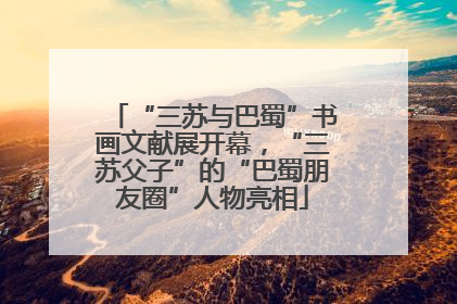 “三苏与巴蜀”书画文献展开幕，“三苏父子”的“巴蜀朋友圈”人物亮相