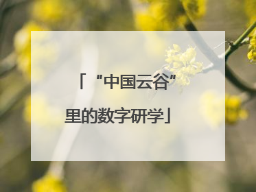 “中国云谷”里的数字研学