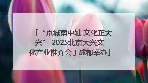 “京城南中轴·文化正大兴” 2025北京大兴文化产业推介会于成都举办
