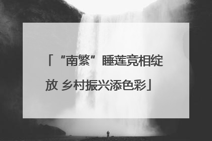 “南繁”睡莲竞相绽放 乡村振兴添色彩