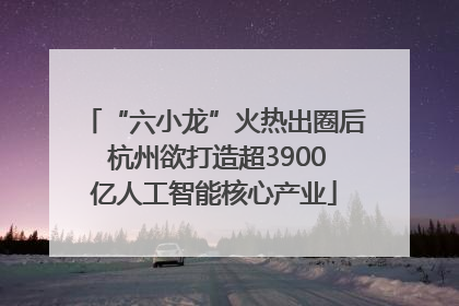 “六小龙”火热出圈后 杭州欲打造超3900亿人工智能核心产业