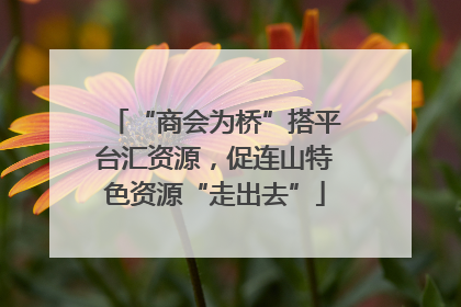 “商会为桥”搭平台汇资源，促连山特色资源“走出去”