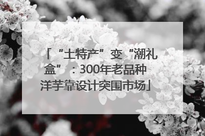 “土特产”变“潮礼盒”：300年老品种洋芋靠设计突围市场