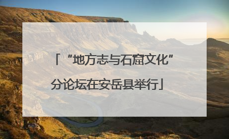 “地方志与石窟文化”分论坛在安岳县举行