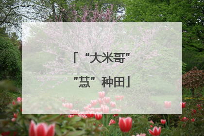 “大米哥”“慧”种田