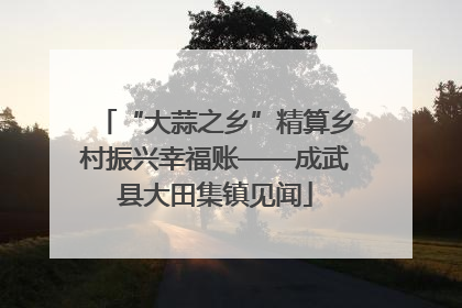 “大蒜之乡”精算乡村振兴幸福账——成武县大田集镇见闻