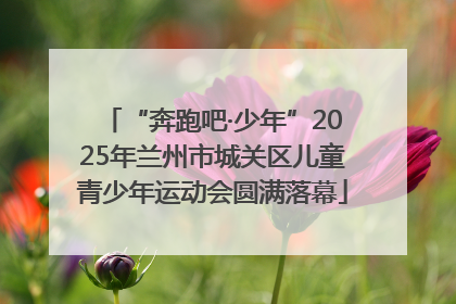 “奔跑吧·少年”2025年兰州市城关区儿童青少年运动会圆满落幕