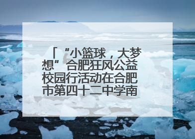 “小篮球，大梦想”合肥狂风公益校园行活动在合肥市第四十二中学南城分校圆满落幕