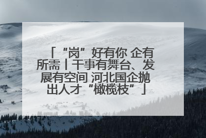 “岗”好有你 企有所需丨干事有舞台、发展有空间 河北国企抛出人才“橄榄枝”