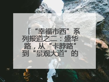 “幸福市西”系列报道之二：盛华路，从“卡脖路”到“景观大道”的华丽转身