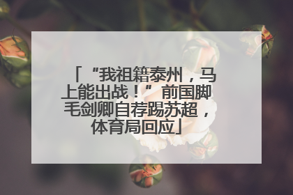 “我祖籍泰州，马上能出战！”前国脚毛剑卿自荐踢苏超，体育局回应