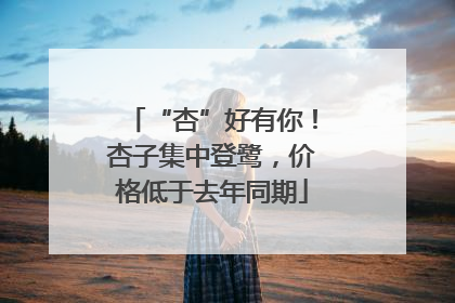 “杏”好有你！杏子集中登鹭，价格低于去年同期