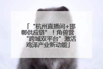 “杭州直播间+邯郸供应链”！角兽营“跨域双平台”激活鸡泽产业新动能