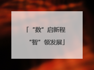 “数”启新程 “智”领发展