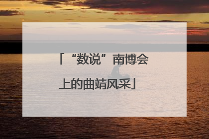 “数说”南博会上的曲靖风采