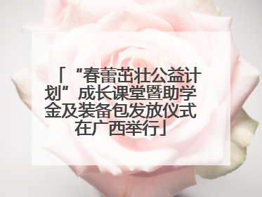 “春蕾茁壮公益计划”成长课堂暨助学金及装备包发放仪式在广西举行