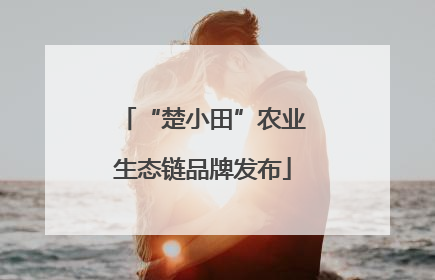 “楚小田”农业生态链品牌发布
