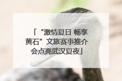 “激情夏日 畅享黄石”文旅赛事推介会点亮武汉夏夜