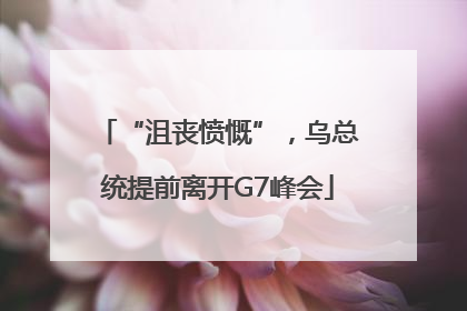 “沮丧愤慨”，乌总统提前离开G7峰会