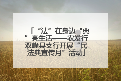 “法”在身边“典”亮生活——农发行双峰县支行开展“民法典宣传月”活动