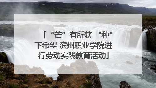 “芒”有所获 “种”下希望 滨州职业学院进行劳动实践教育活动