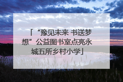 “豫见未来 书送梦想”公益图书室点亮永城五所乡村小学