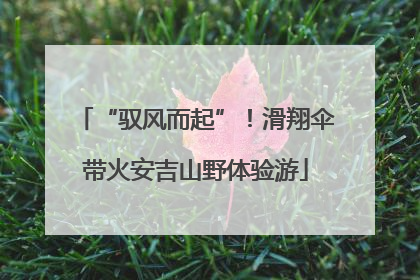 “驭风而起”！滑翔伞带火安吉山野体验游