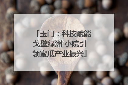 玉门：科技赋能戈壁绿洲 小院引领蜜瓜产业振兴