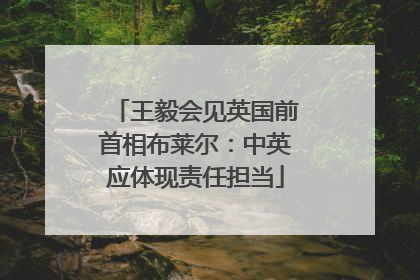 王毅会见英国前首相布莱尔：中英应体现责任担当