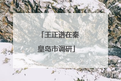 王正谱在秦皇岛市调研