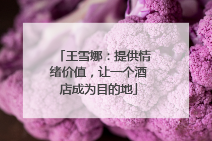 王雪娜：提供情绪价值，让一个酒店成为目的地