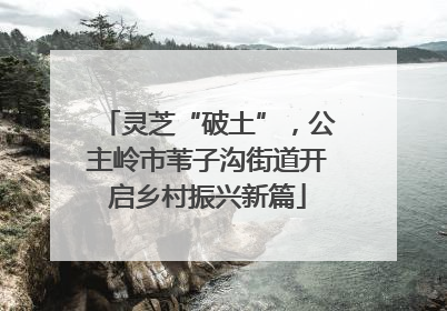 灵芝“破土”，公主岭市苇子沟街道开启乡村振兴新篇