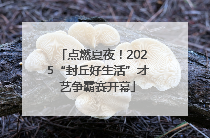 点燃夏夜！2025“封丘好生活”才艺争霸赛开幕