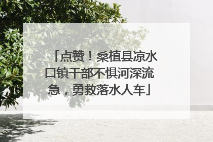 点赞！桑植县凉水口镇干部不惧河深流急，勇救落水人车