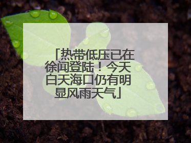 热带低压已在徐闻登陆！今天白天海口仍有明显风雨天气